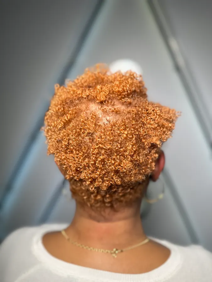 Back view of tight short coils colored bright copper, tapered at the nape, in the studio